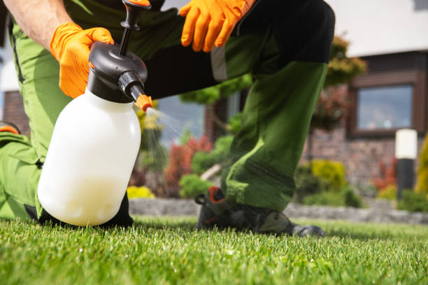 Best Affordable Pest Control Services  in Morris, IL
