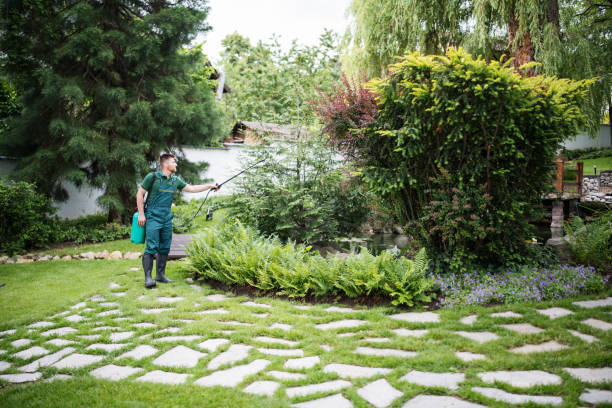 Best Commercial Pest Control Services  in Morris, IL