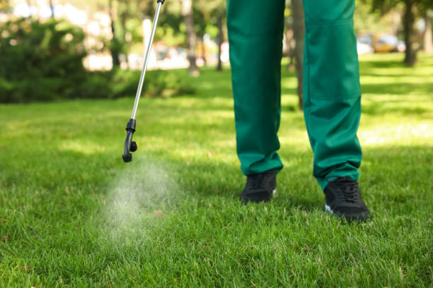 Wildlife Control Services in Morris, IL