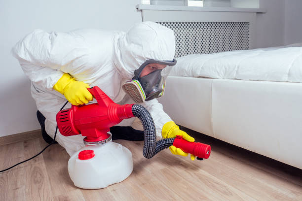Best Flea Control Services  in Morris, IL