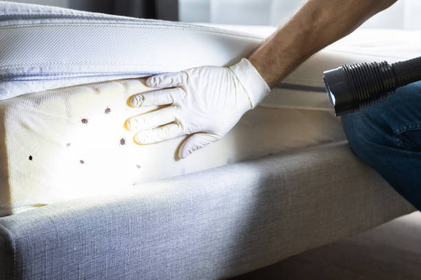 Best Pest Inspection Near Me  in Morris, IL