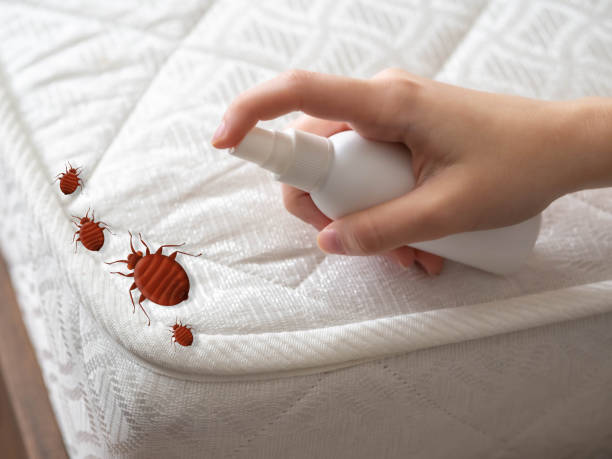 Best Affordable Pest Control Services  in Morris, IL