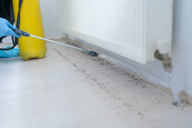 Best Pest Control Near Me  in Morris, IL